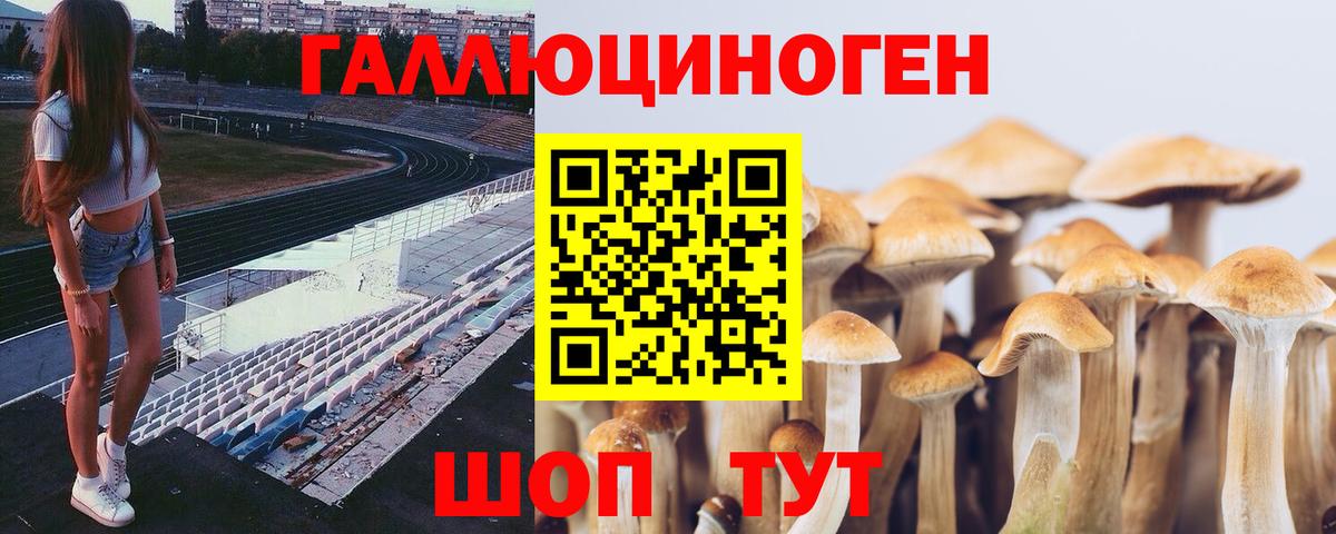 Псилоцибиновые грибы прущие грибы Кировск
